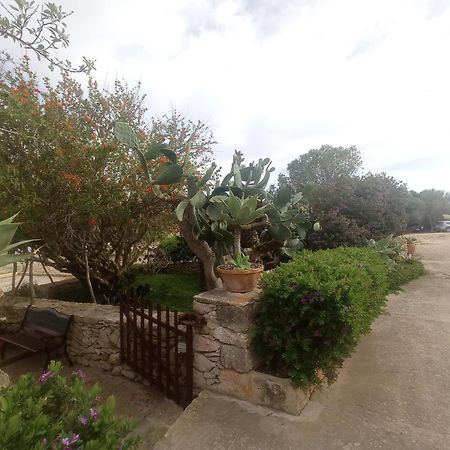 Casa Rural Es Cap De Barbaria San Francisco Javier 외부 사진