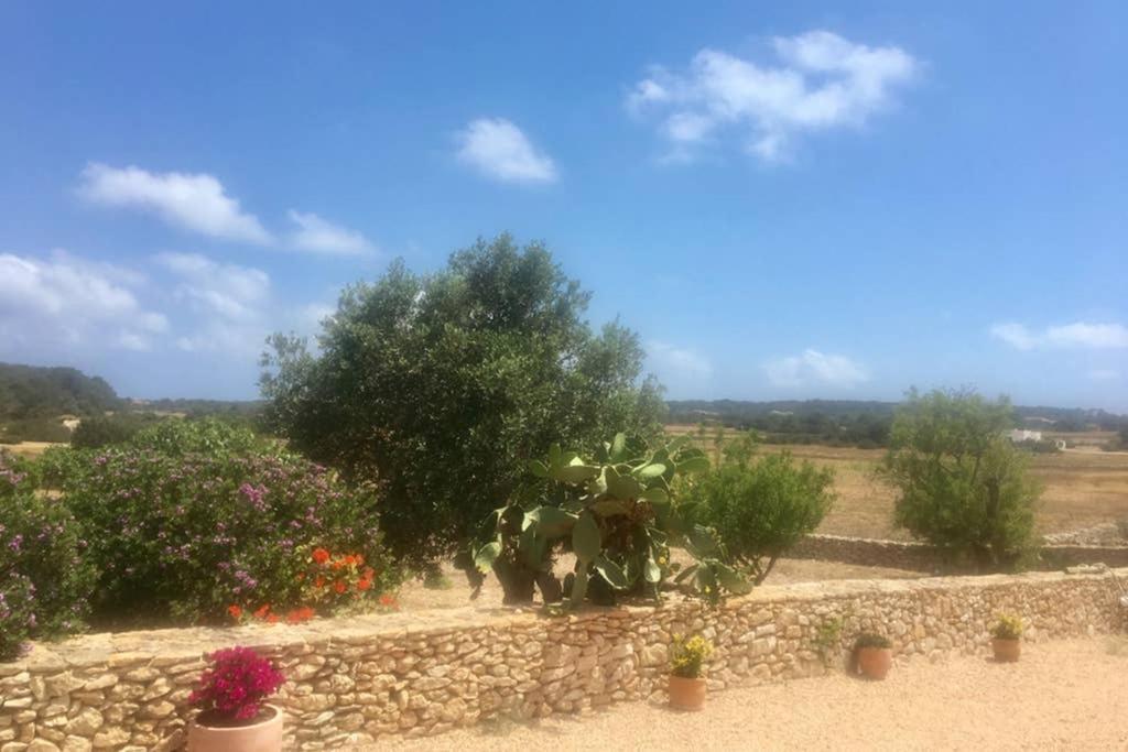 Casa Rural Es Cap De Barbaria San Francisco Javier 외부 사진