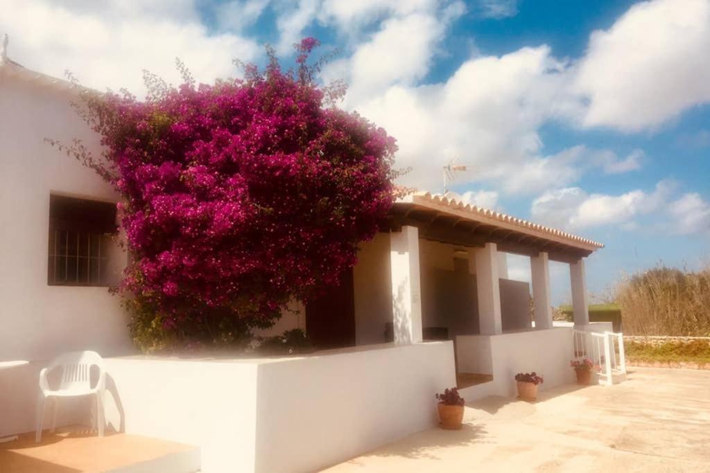 Casa Rural Es Cap De Barbaria San Francisco Javier 외부 사진