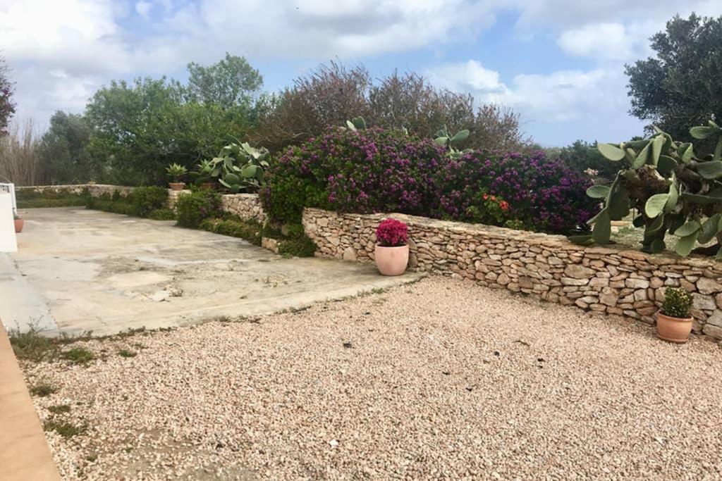 Casa Rural Es Cap De Barbaria San Francisco Javier 외부 사진